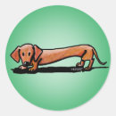 Search for doxie stickers Dachsund