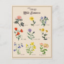 Search for victorian floral postcards Vintage