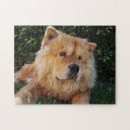 Search for chow chow dog puzzles Pet