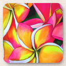 Recherche de plumeria dessous de verres Frangipani