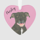 Search for staffy ornaments Pitbull