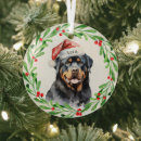 Recherche de rottweiler ornements Chien