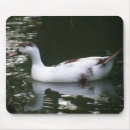 Recherche de étang de canard électronique Animaux
