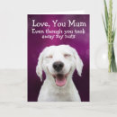 Search for funny labrador birthday cards Dog lover