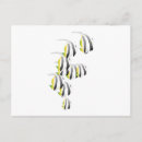 Search for fins postcards Swim