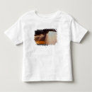 Search for sun set tshirts Landscape