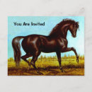 Search for pasture invitations Horse