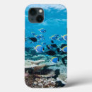 Search for school of fish electronics Underwater