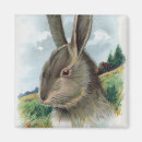 Search for rabbit magnets Happy