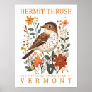 Search for thrushes posters Illustration