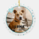 Search for photo pet memorial ornaments Rememberance
