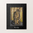 Recherche de orange cat puzzles Félin