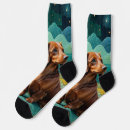 Recherche de dachshund socks Mignon
