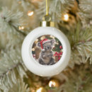 Search for cute koala bears ornaments Festive