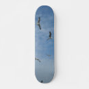 Search for fly skateboards Sport