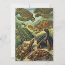 Search for tortoises invitations Reptiles