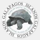 Search for galapagos stickers Wildlife