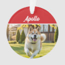 Search for akita ornaments Pets