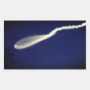 Recherche de lancement de fusée autocollants Technologie