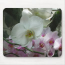 Recherche de orchidée blanche tapis souris Orchidées blanches