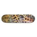 Search for gecko skateboards Nature
