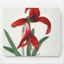 Search for albert standard mousepads Botanical