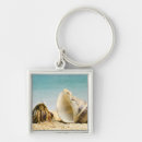 Search for hermit keychains Animals