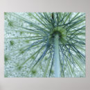 Search for micro posters Green