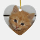 Search for orange tabby cat ornaments Sweet
