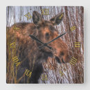 Recherche de oies canadiennes horloges Faune