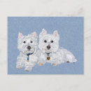 Recherche de westies cartes postales Chiens