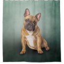 Search for bulldog bathroom accessories Cute