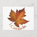 Search for canada maple leaf postcards Souvenir