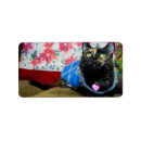 Search for calico cat return address labels Kitty