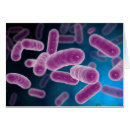 Recherche de prokaryote cartes postales Médecine