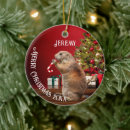 Search for red squirrel ornaments Funny