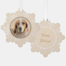 Search for coonhound ornaments Dog