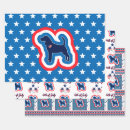 Search for 4th of july wrapping paper America