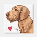 Recherche de chien de vizsla magnets Pour tous