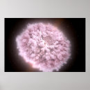 Search for neutron posters Universe