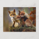 Recherche de kittie cartes postales Animal