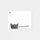Search for ized Kitten