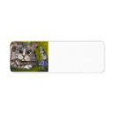 Search for rats return address labels Mouse