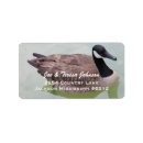 Search for goose return address labels Bird