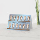 Search for wise cards Hoot