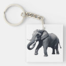 Search for tusk keychains Mammal