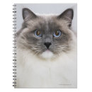 Search for ragdoll cat notebooks Feline