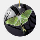 Search for luna moth ornaments Butterfly