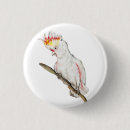 Search for drawing round buttons Bird