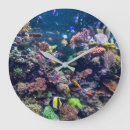 Search for scuba diving clocks Beach
